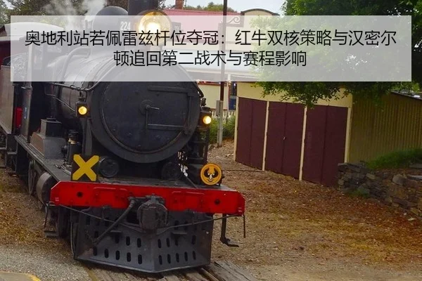 ao-di-li-zhan-ruo-pei-lei-zi-gan-wei-duo-guan-hong-niu-shuang-he-ce-lve-yu-han-mi-er-dun-zhui-hui-di-er-zhan-shu-yu-sai-2-266.jpg