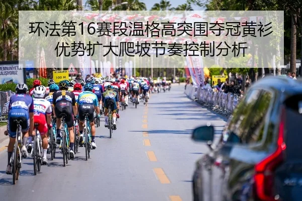 huan-fa-di-sai-duan-wen-ge-gao-tu-wei-duo-guan-huang-shan-you-shi-kuo-da-pa-po-jie-zou-kong-zhi-fen-xi-2-443.jpg